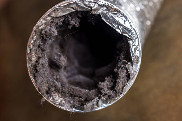 Best Ductwork Cleaning Services  in Garrison, ND